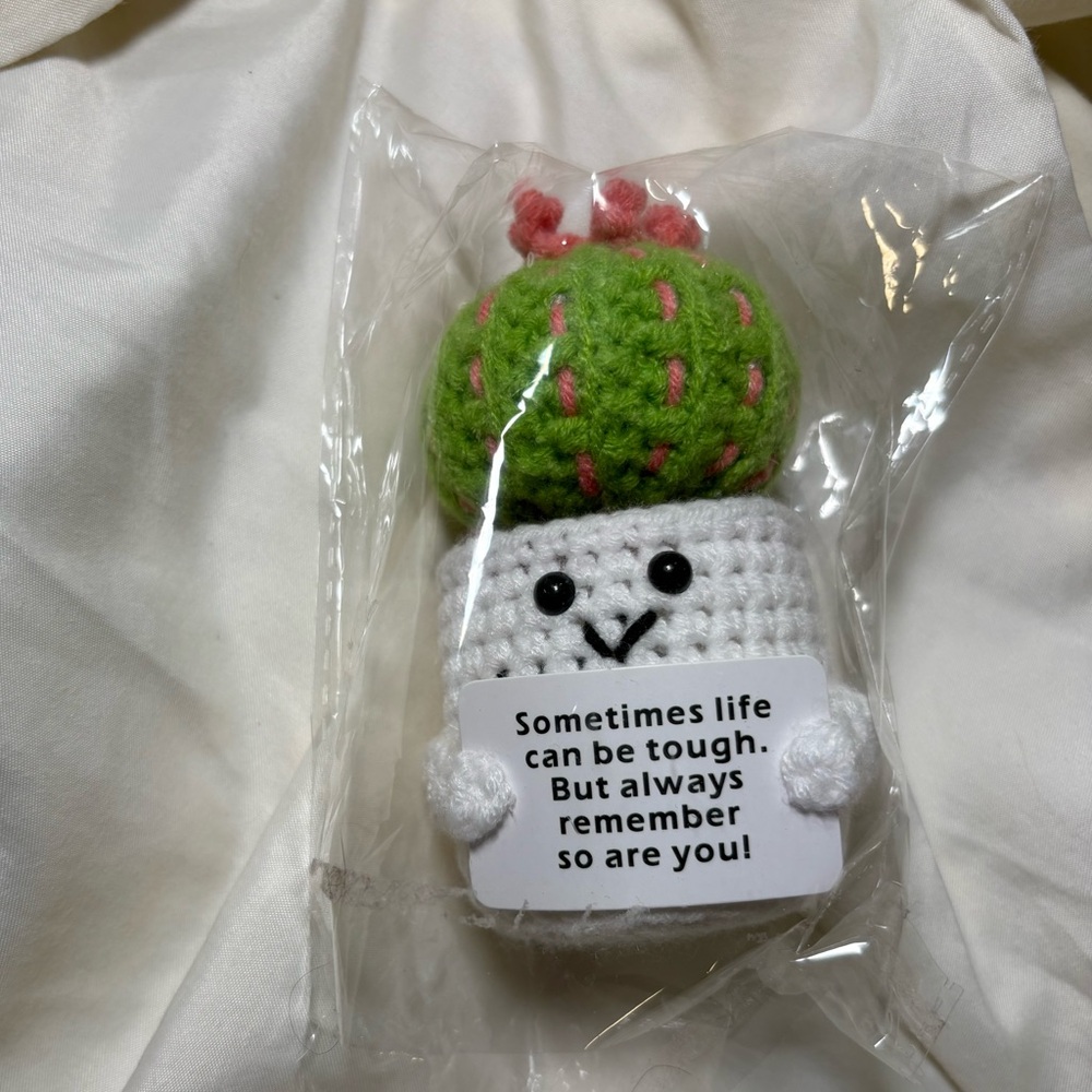 Positive Message Crochet Succulent
